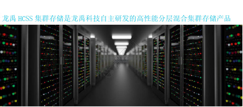 龍禹集群存儲(chǔ)系統(tǒng)