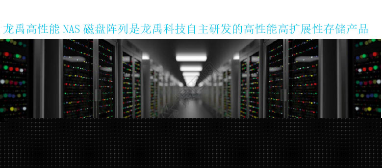 龍禹高性能NAS存儲(chǔ)系統(tǒng)